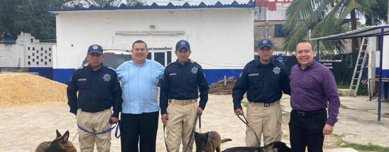 CANINOS DE LA POLICÍA MUNICIPAL